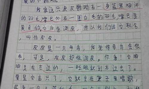 小动物作文500字左右小狗_小动物作文500字左右小狗怎么写