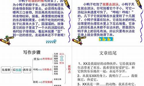 我喜欢小动物作文500字_我喜欢小动物作文500字四年级