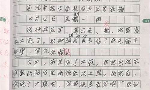 观察作文300字2篇_观察作文(300字)