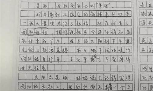 我关注作文_我关注作文800字作文