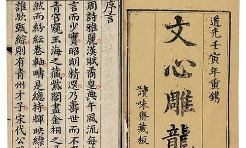 文心雕龙注范文澜注_文心雕龙注范文澜pdf