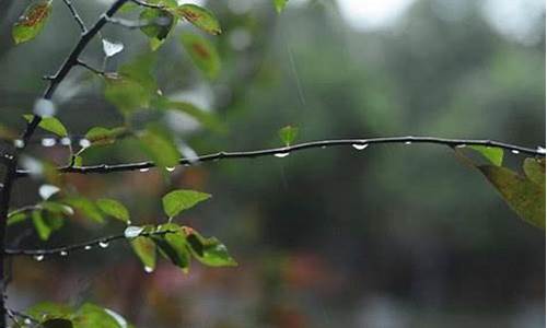 秋雨作文400字欲扬先抑_秋雨作文400字欲扬先抑怎么写