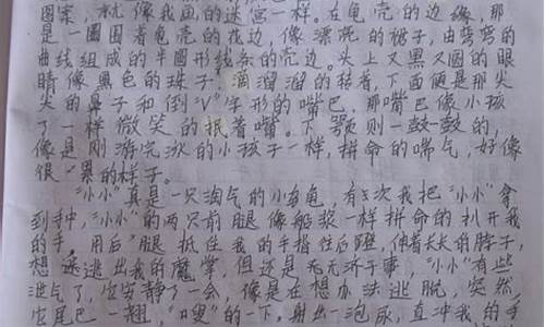 家乡的风景名胜作文_家乡的风景名胜作文500字