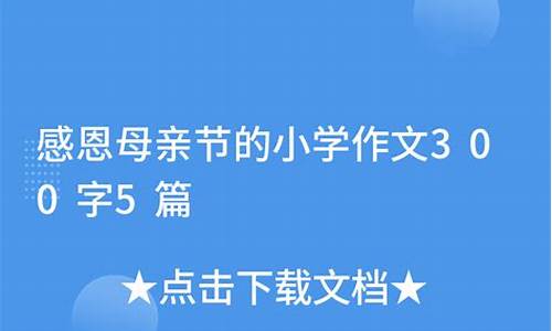 母亲节作文300字左右给母亲做饭的作文